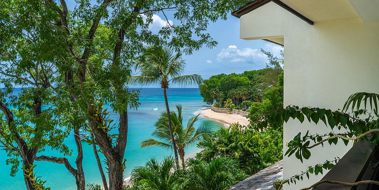 Coral Cove 10