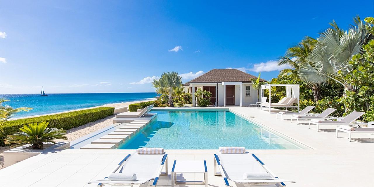 Turtle Nest