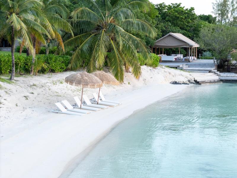 Three Bees , Harbour Island  