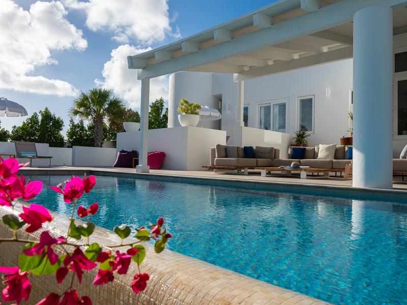 Celestial Anguilla , West End  