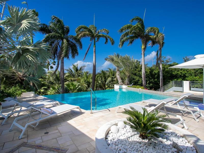 Les Palmiers Bleus , Terres Basses  