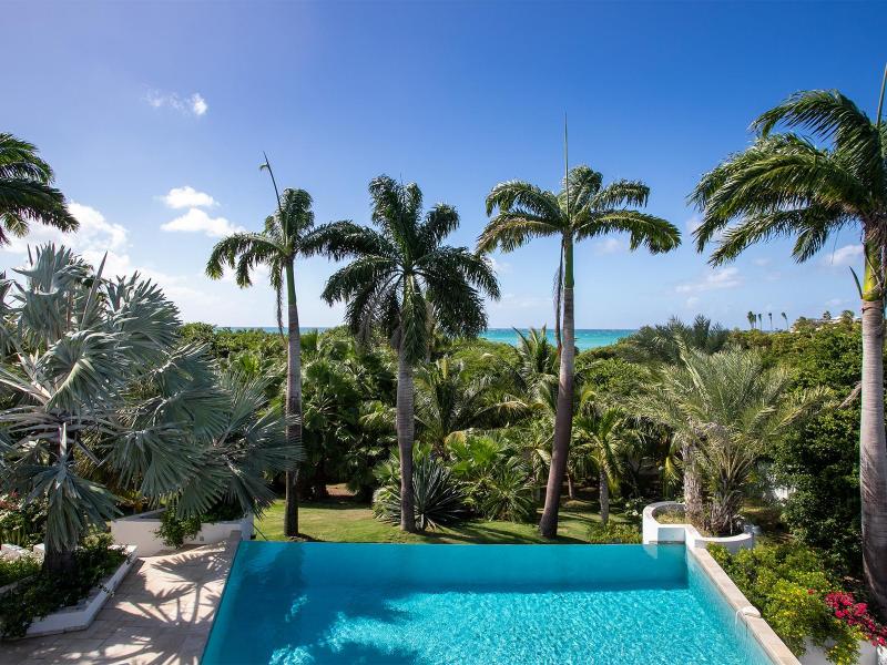 Les Palmiers Bleus , Terres Basses  