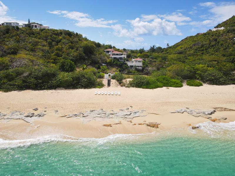 Joie de Vivre , Terres Basses  