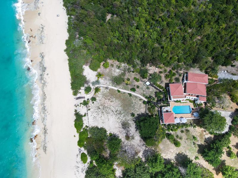 Joie de Vivre , Terres Basses  