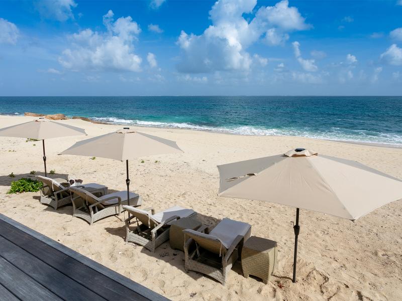 L'Oasis , Terres Basses  