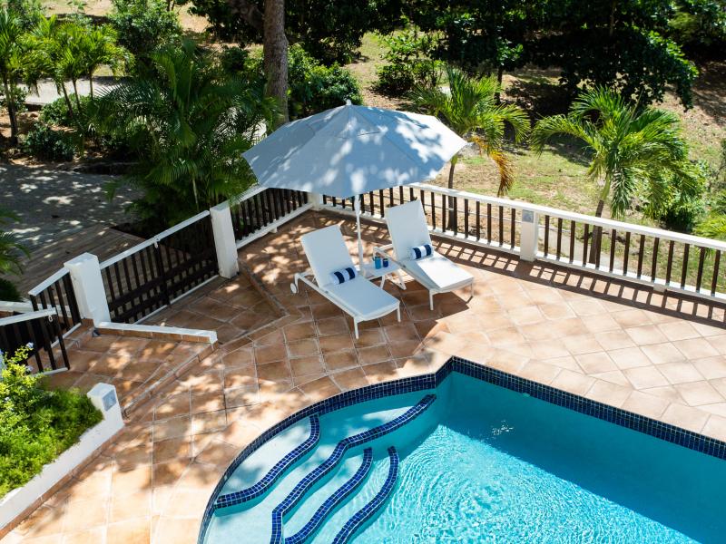 Joie de Vivre , Terres Basses  