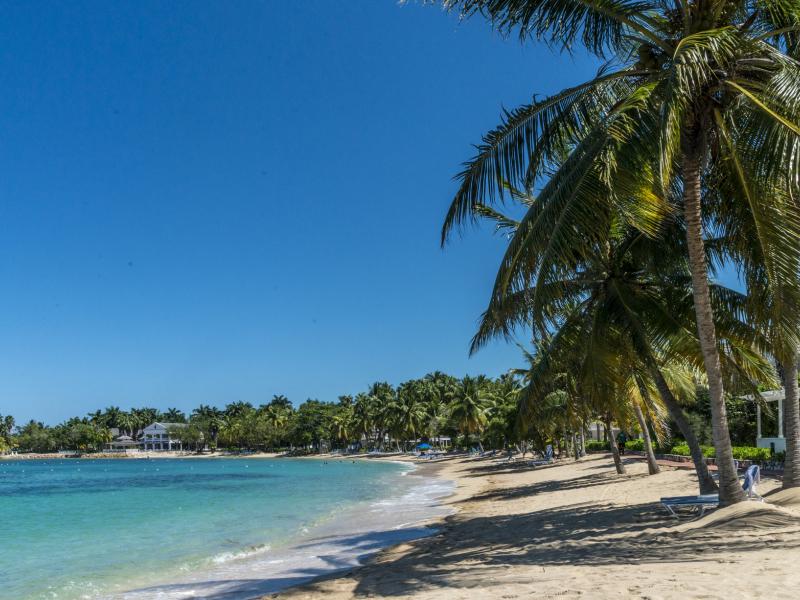 Half Moon  , Montego Bay  