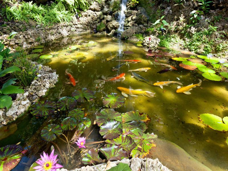 Fustic House Private Estate , St Lucy , West Coast Barbados  