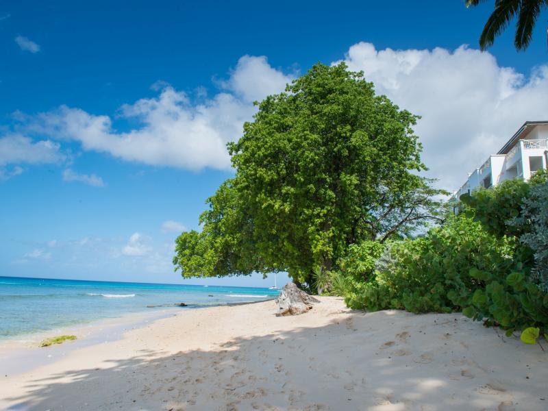 Chanel No 5 Mahogany Bay-Beachfront , Beachfront villas Barbados , Paynes Bay , St James , Waterfront villas Barbados , West Coast Barbados  