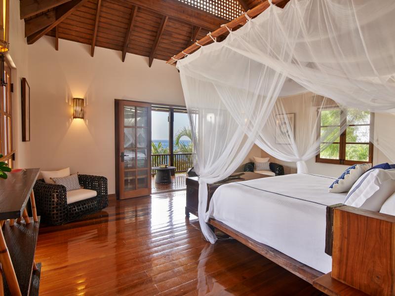 Tree Frog , Prickly Bay  