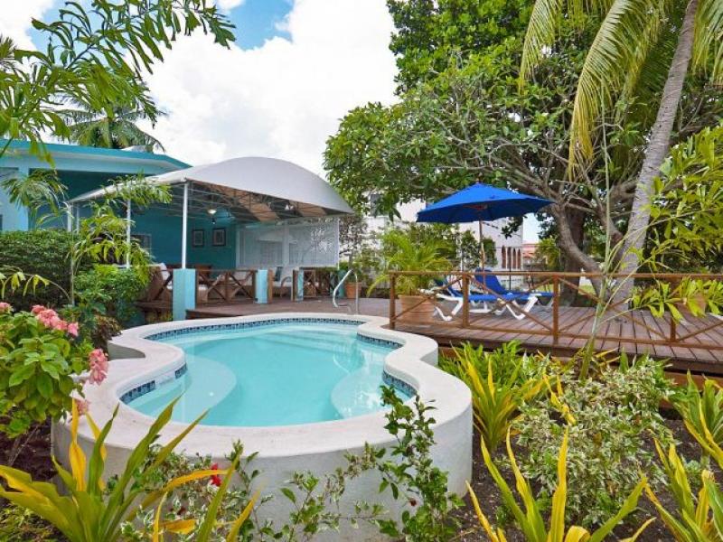 Sea Turtle , Beachfront villas Barbados , West Coast Barbados  