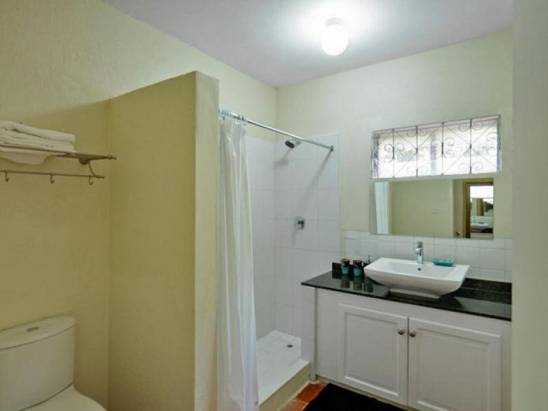 Sea Turtle , Beachfront villas Barbados , West Coast Barbados  