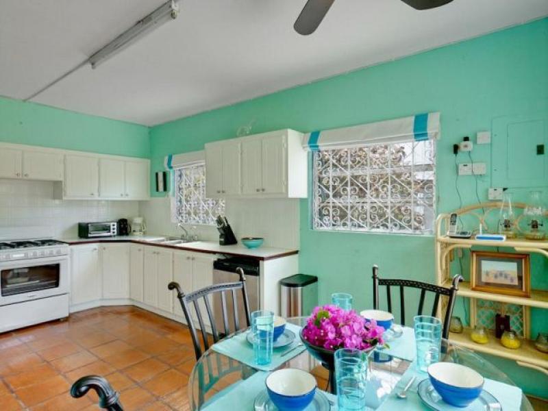 Sea Turtle , Beachfront villas Barbados , West Coast Barbados  