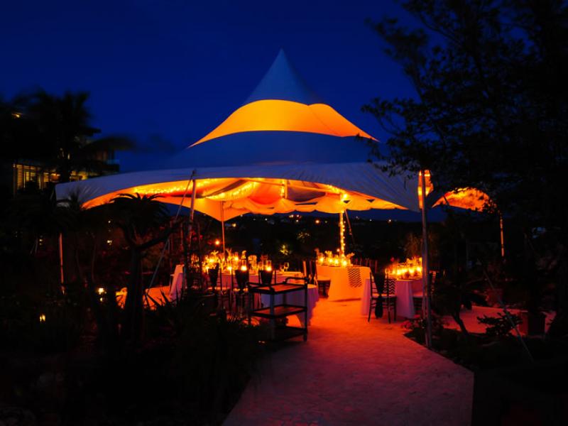 Ani Villas Anguilla- Ani South Villa , Little Bay  