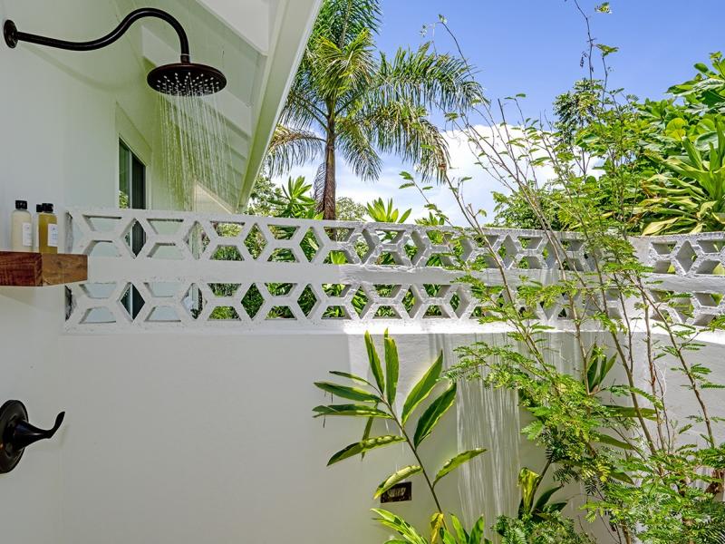 Abacus , Montego Bay , Spring Farm  