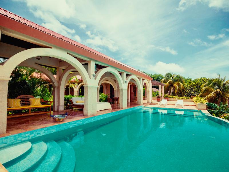 Helianthus , Mount Pleasant  