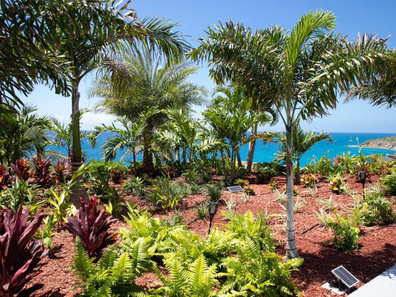 Aqua Dream , Pelican Key St Maarten  