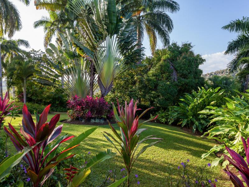 Little Hill , Montego Bay , Tryall  