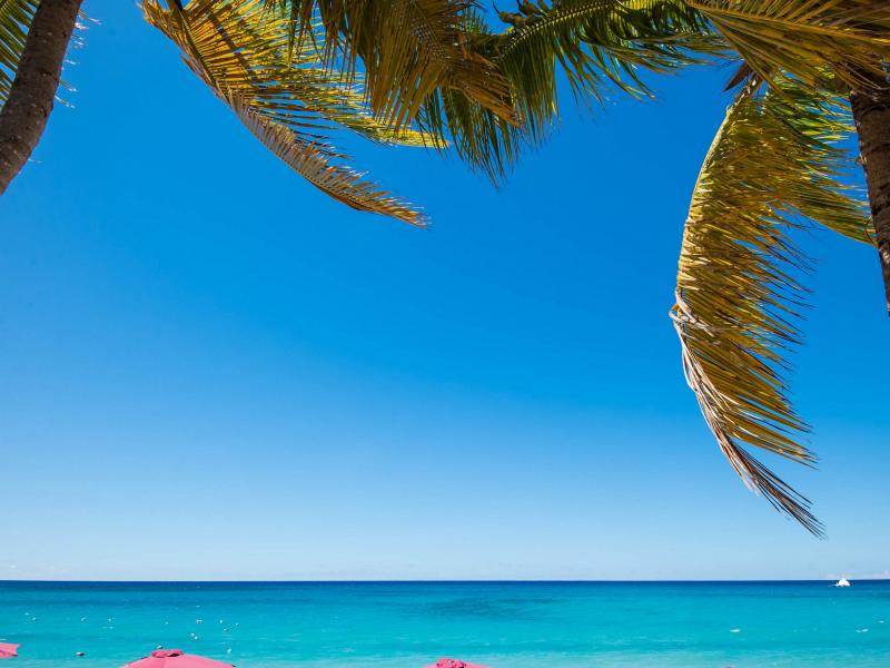 Capri Manor , Gibbes , Lower Carlton , St Peter , West Coast Barbados  