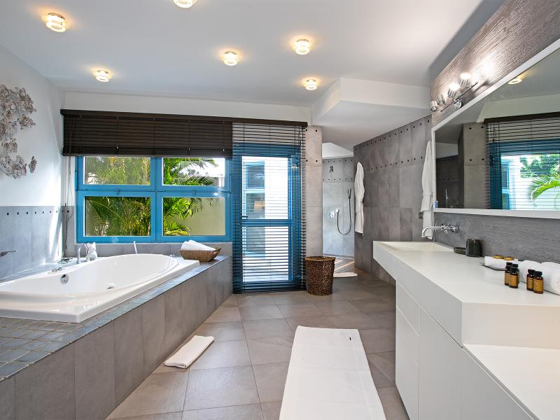 Les Palmiers Bleus , Terres Basses  