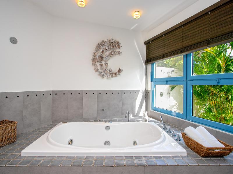 Les Palmiers Bleus , Terres Basses  