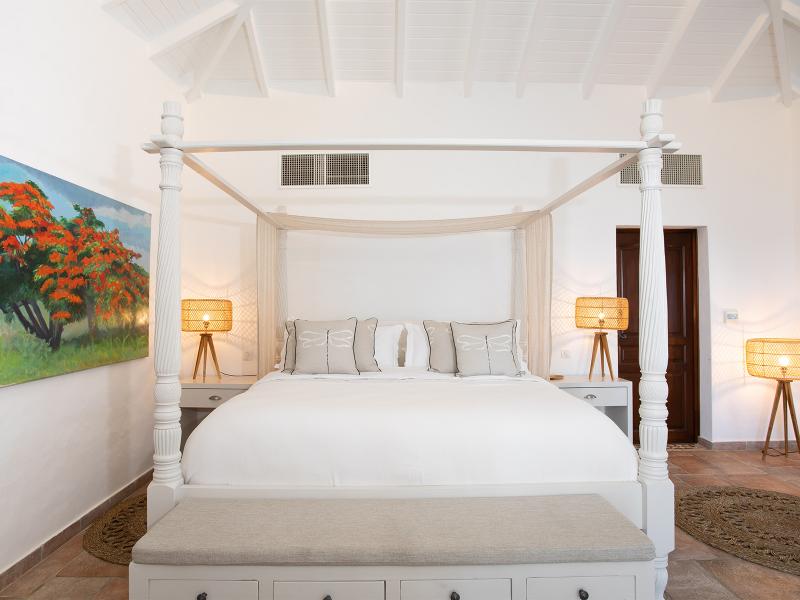 Belle Etoile , Terres Basses  