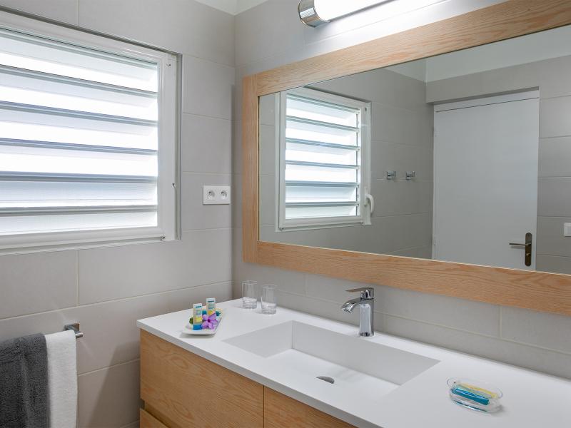 Falaise des Oiseaux , Terres Basses  