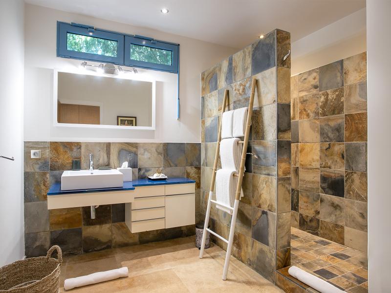 Les Palmiers Bleus , Terres Basses  