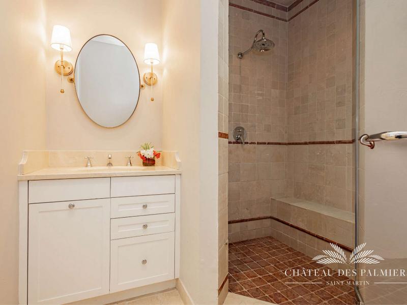 Le Chateau des Palmiers , Terres Basses  