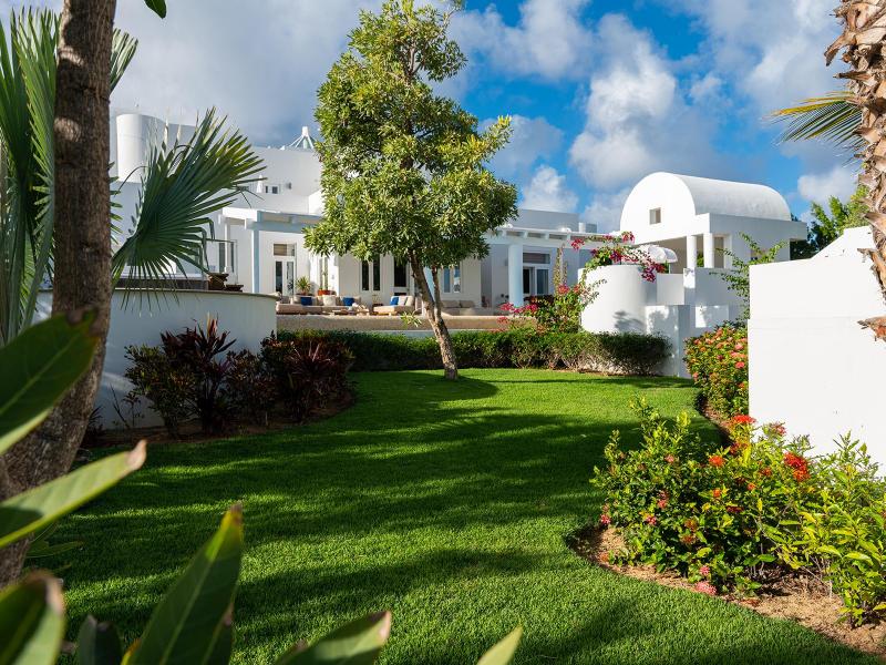 Celestial Anguilla , West End  