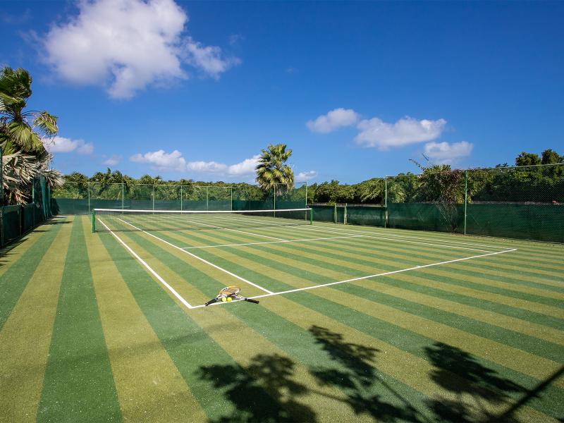 Les Palmiers Bleus , Terres Basses  