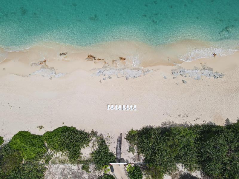 Joie de Vivre , Terres Basses  