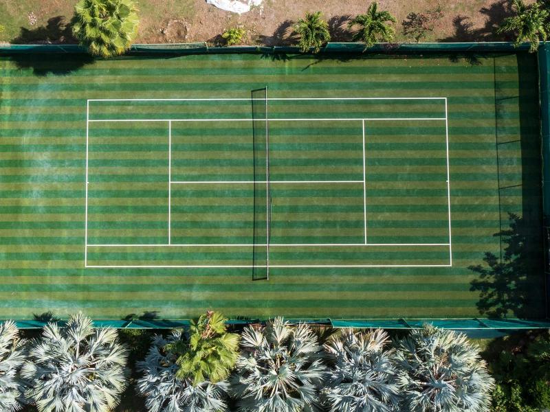 Les Palmiers Bleus , Terres Basses  