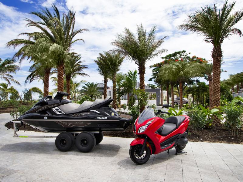 C'est La Vie, Terres Basses , Terres Basses  