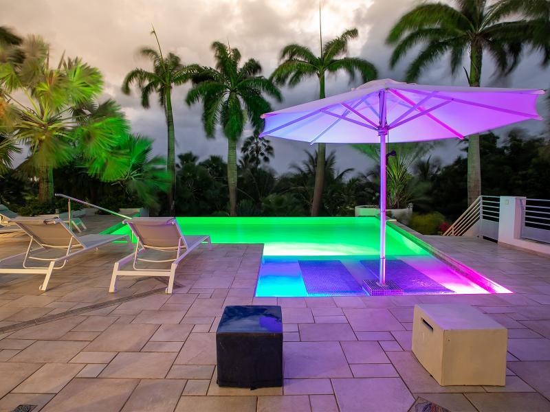 Les Palmiers Bleus , Terres Basses  