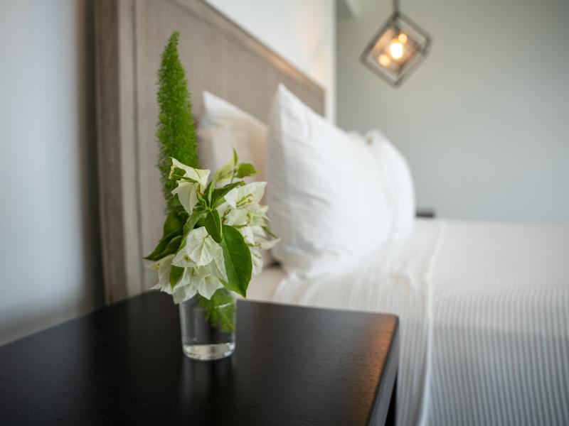 Le Rêve Bleu , Little Bay  