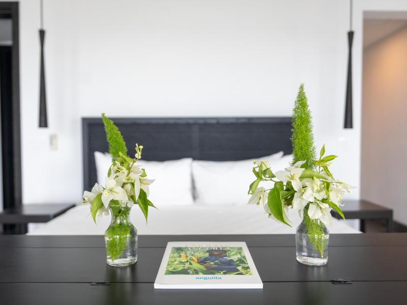 Le Rêve Bleu , Little Bay  