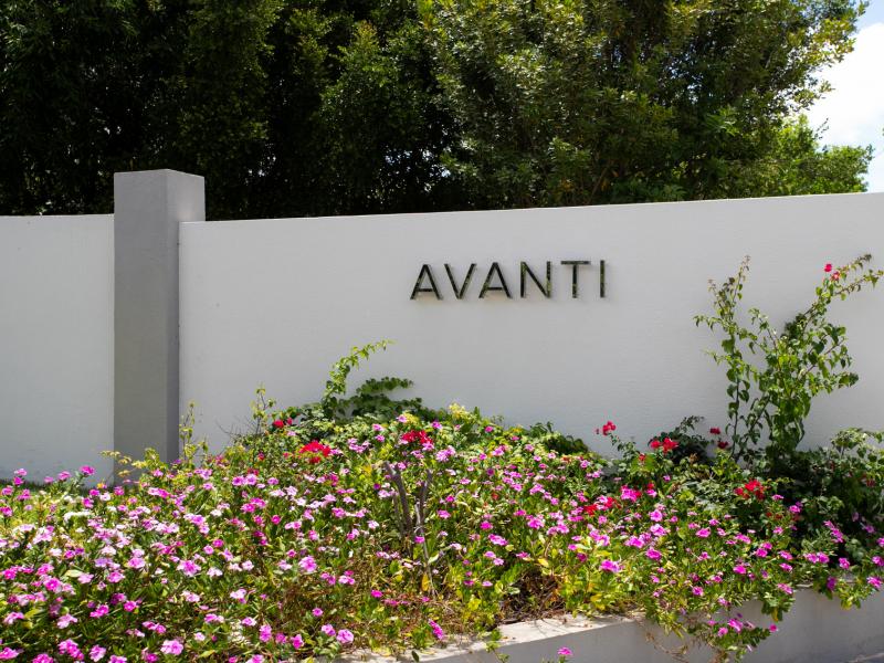 Avanti , Terres Basses  