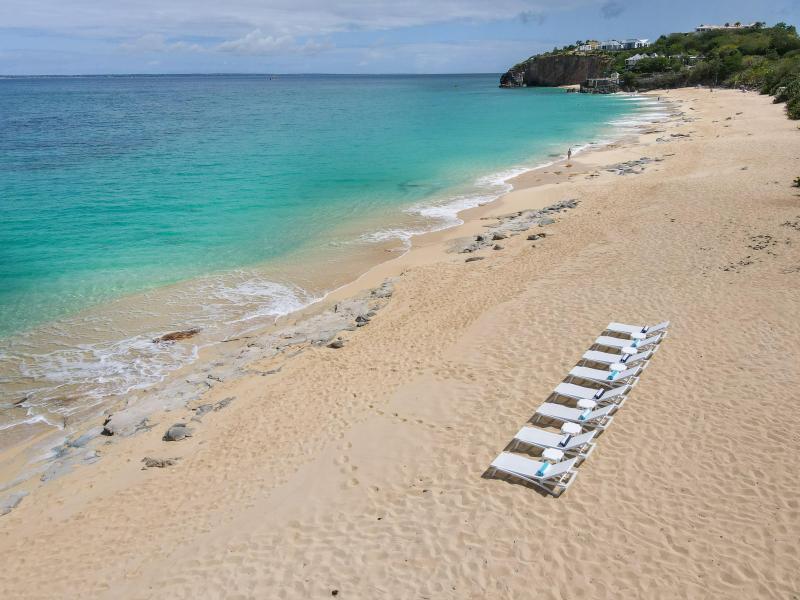 Joie de Vivre , Terres Basses  