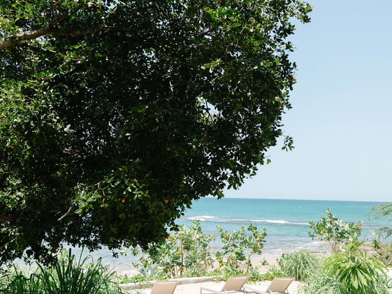 Steppa & Peeniewalli , South Coast  