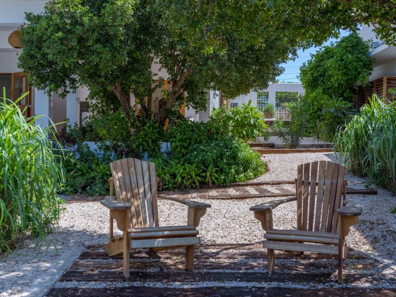 Steppa & Peeniewalli , South Coast  