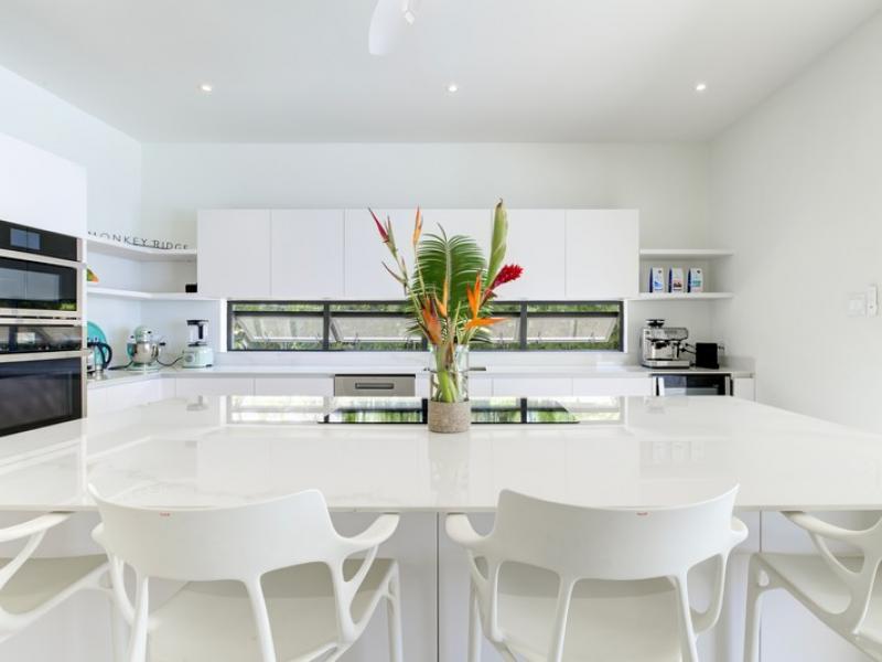 Monkey Ridge , St James , West Coast Barbados  