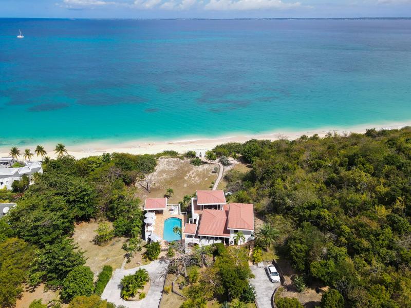 Joie de Vivre , Terres Basses  