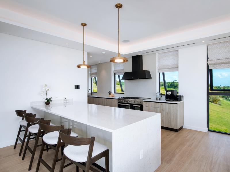 Apes Hill - Fairwinds , Apes Hill , St James  