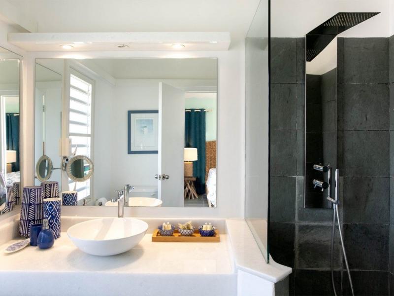 Libellule , Terres Basses  