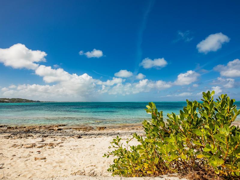 Beach Shack , Turtle Cove  