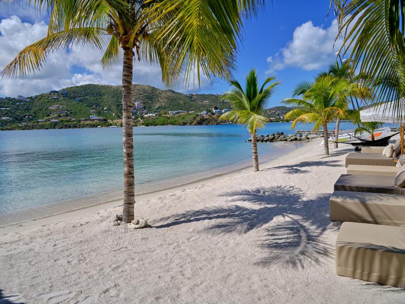 Aerial , Buck Island  