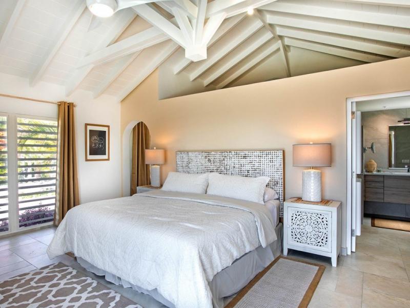 Libellule , Terres Basses  