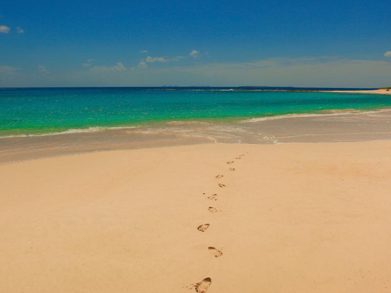 Bird of Paradise Anguilla , Sandy Hill  