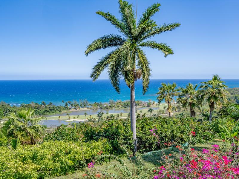 Casuarina , Montego Bay , Tryall  